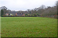 Pasture at Burley Hill