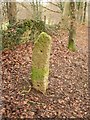 Gatepost, The Frith