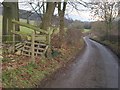 Lane to Sheepscombe