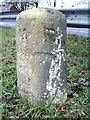 Benchmark on milestone in central reservation of A40 near Thornhill P&R