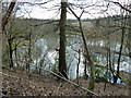 Lake south of Castlehill Wood