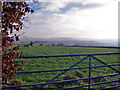 Field south of Whiddon Down