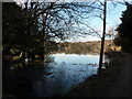 Allestree Park lake, January 2011