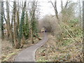 Path to Cwm Philkins, Pontllanfraith