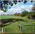 Public Footpath towards Mill Hill