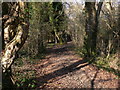 Bridleway on Gunshot Common