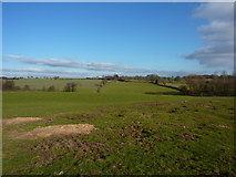 SK2839 : Fields and badger sett by Peter Barr
