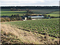 TL5854 : Wadlow Farm by John Sutton