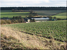 TL5854 : Wadlow Farm by John Sutton
