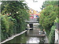 The River Ravensbourne near Lewisham station (5)