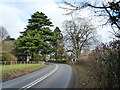 Bend in the road, south of Usk