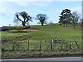 Field with winter trees, south of Usk