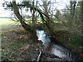 Dowlais Brook from the road