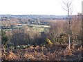 View south from Abbots Well