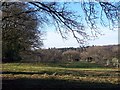 Footpath near Godshill