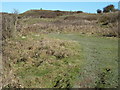 Path through the access land on Mill Hill