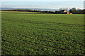 Arable land near Evesham