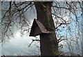 Owl Box near Little Moss Farm, Alderley Edge