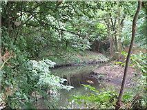 TQ3774 : The River Ravensbourne in Ladywell Fields (4) by Mike Quinn