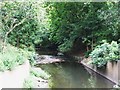 The River Ravensbourne in Ladywell Fields (7)