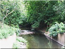 TQ3774 : The River Ravensbourne in Ladywell Fields (7) by Mike Quinn