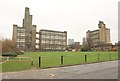 Tower blocks, Poplar