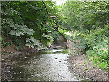 TQ3774 : The River Ravensbourne in Ladywell Fields (12) by Mike Quinn
