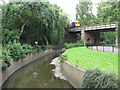 The River Ravensbourne in Ladywell Fields (16)