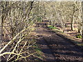 Bridleway Near Rodborough Hill