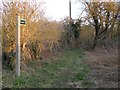 Footpath by Parsonage Farm