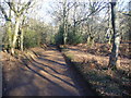 Bridleway by Mousehill Corner