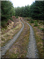 NR8461 : Forestry Track - North Kintyre by Steve Partridge