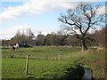 Fields at Newlands Farm