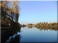 The Thames at Cross Deep, looking downstream from Radnor Gardens, Twickenham