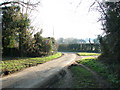 Approach to The Arms on School Road