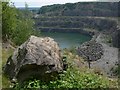 Granite boulder at Whitwick Quarry