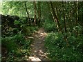 Path and dry stone wall