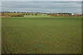 View to Longdon Hill