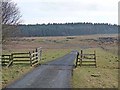 NY9583 : Private road to Hawick Farm by Oliver Dixon