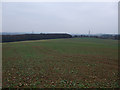 Farmland view