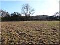 SP1861 : Field near Songar Grange by Nigel Mykura