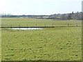 Puddle in the pasture