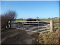 Gated track to High Tunstall Farm