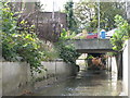 The River Ravensbourne by Franthorne Way, SE6 (2)