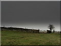 Pasture and Gate above Winterburn Valley