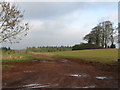 Path near Rooks Castle Farm