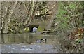 A weir and sluice on Knowl Water near Wrafton