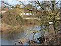 The River Tone in Creech St Michael