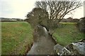 The view upstream from a bridge which carries Velator Road over Knowl Water