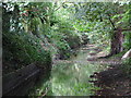 The River Ravensbourne, Shortlands Golf Course (7)